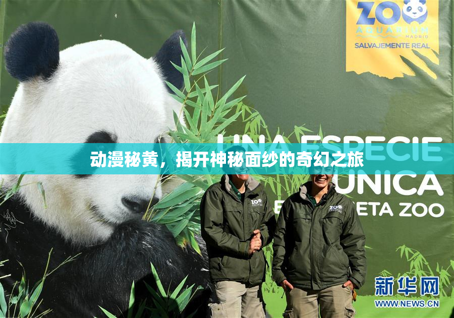 动漫秘黄，揭开神秘面纱的奇幻之旅
