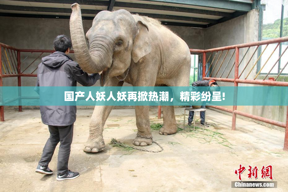 国产人妖人妖再掀热潮，精彩纷呈!