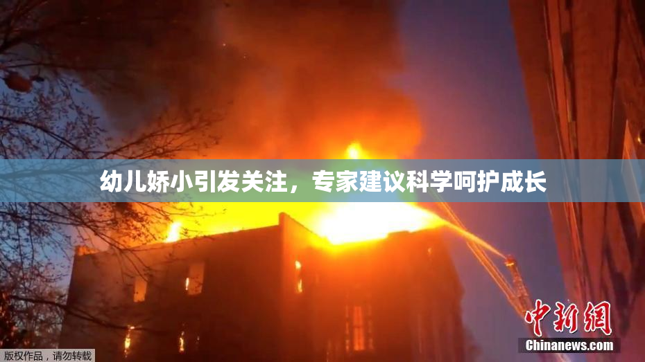 幼儿娇小引发关注，专家建议科学呵护成长