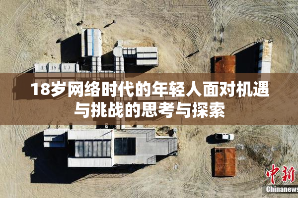 18岁网络时代的年轻人面对机遇与挑战的思考与探索