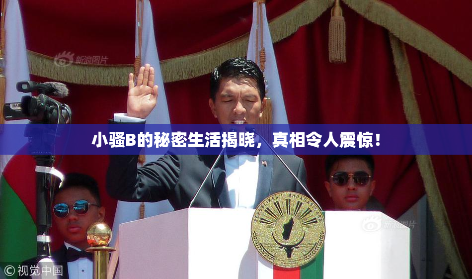 小骚B的秘密生活揭晓，真相令人震惊！