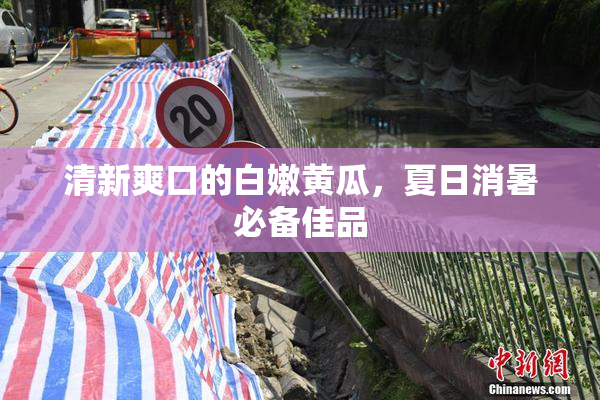 清新爽口的白嫩黄瓜，夏日消暑必备佳品