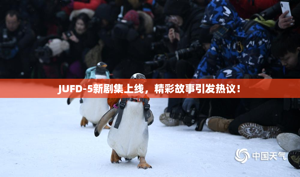 JUFD-5新剧集上线，精彩故事引发热议！