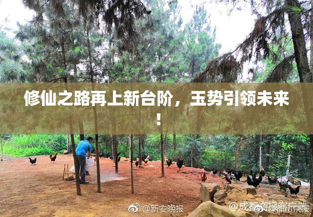 修仙之路再上新台阶，玉势引领未来！