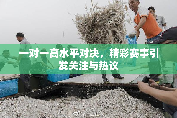 一对一高水平对决，精彩赛事引发关注与热议