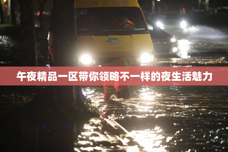 午夜精品一区带你领略不一样的夜生活魅力
