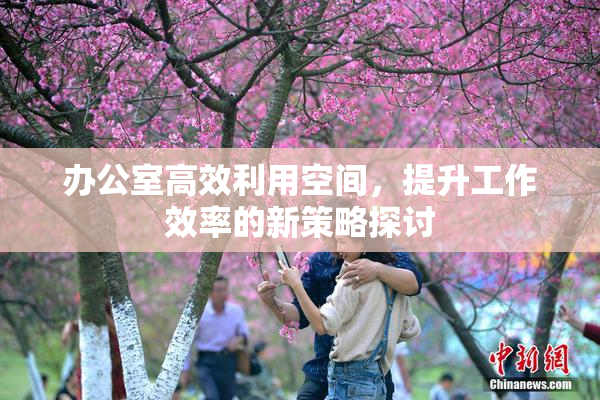 办公室高效利用空间，提升工作效率的新策略探讨