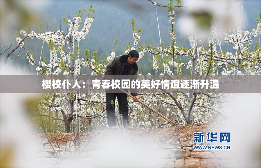 樱校仆人：青春校园的美好情谊逐渐升温