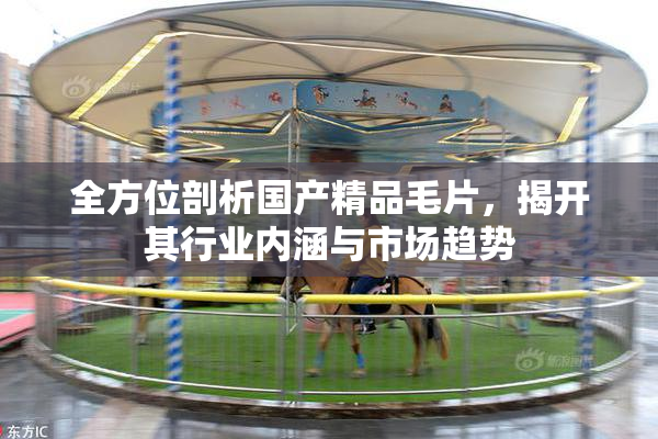 全方位剖析国产精品毛片，揭开其行业内涵与市场趋势