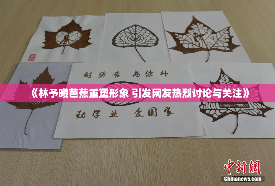 《林予曦芭蕉重塑形象 引发网友热烈讨论与关注》