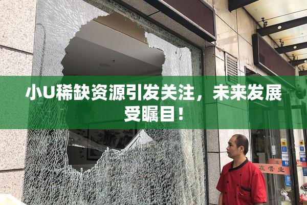 小U稀缺资源引发关注，未来发展受瞩目！