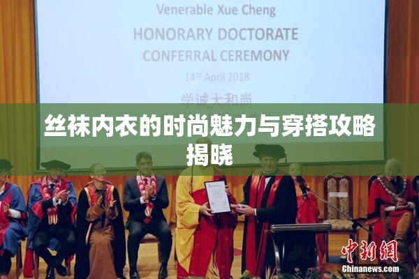 丝袜内衣的时尚魅力与穿搭攻略揭晓