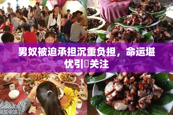 男奴被迫承担沉重负担，命运堪忧引発关注