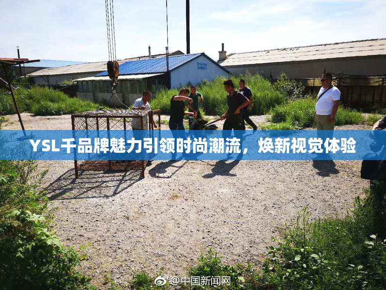 YSL千品牌魅力引领时尚潮流，焕新视觉体验