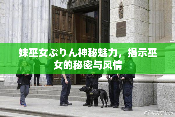 妹巫女ぷりん神秘魅力，揭示巫女的秘密与风情