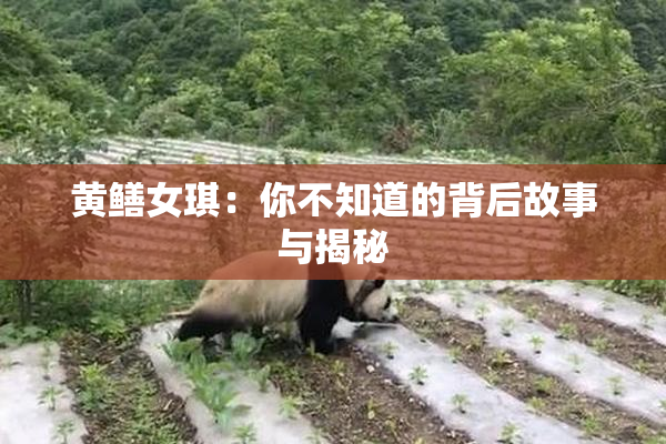 黄鳝女琪：你不知道的背后故事与揭秘