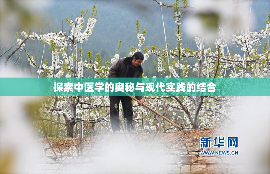 探索中医学的奥秘与现代实践的结合