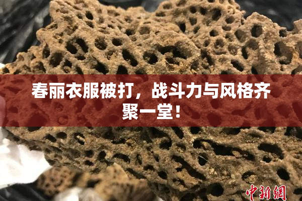 春丽衣服被打，战斗力与风格齐聚一堂！