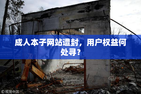 成人本子网站遭封，用户权益何处寻？