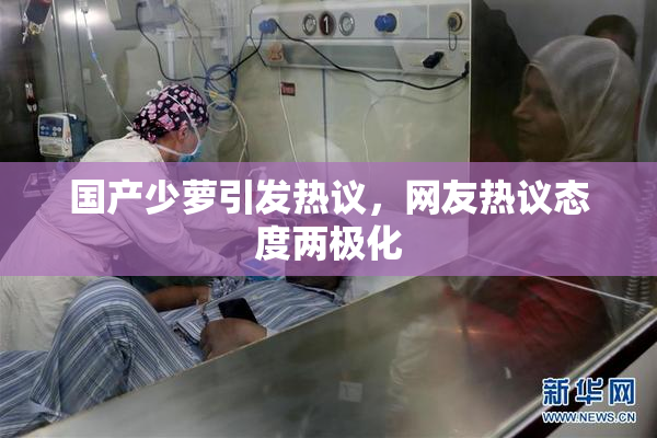 国产少萝引发热议，网友热议态度两极化