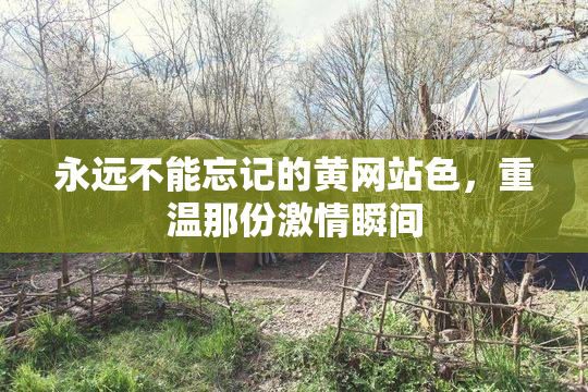 永远不能忘记的黄网站色，重温那份激情瞬间