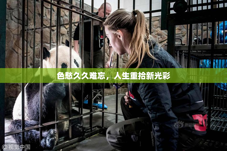 色愁久久难忘，人生重拾新光彩