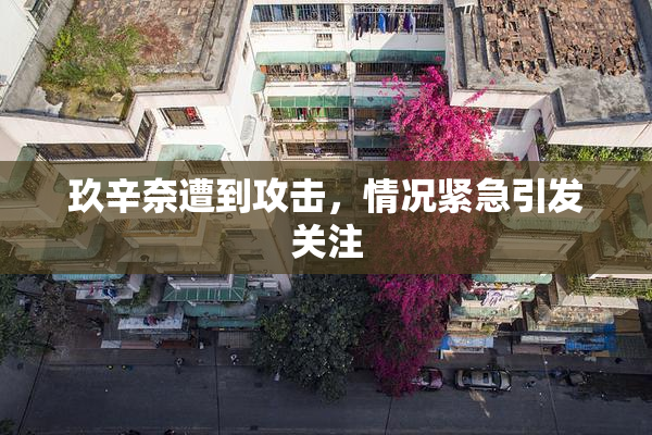 玖辛奈遭到攻击，情况紧急引发关注