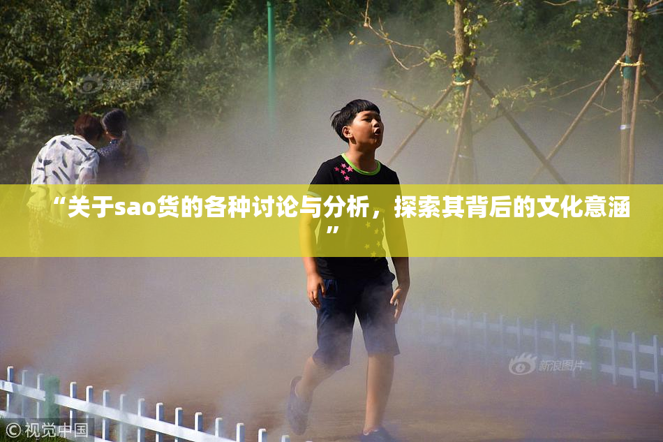 “关于sao货的各种讨论与分析，探索其背后的文化意涵”