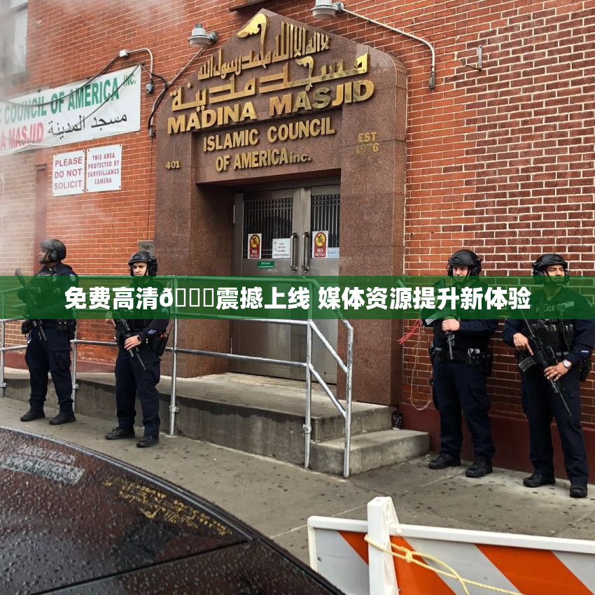 免费高清🔞震撼上线 媒体资源提升新体验