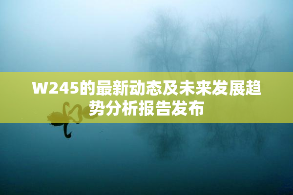 W245的最新动态及未来发展趋势分析报告发布