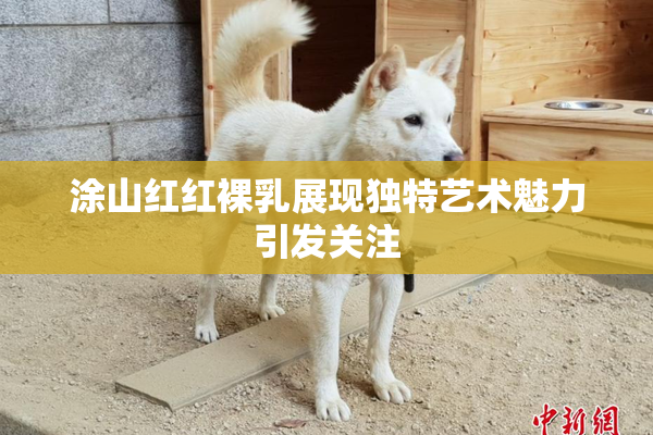 涂山红红裸乳展现独特艺术魅力引发关注