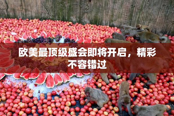 欧美最顶级盛会即将开启，精彩不容错过