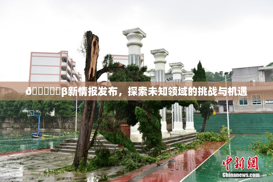 🍆❌‌β新情报发布，探索未知领域的挑战与机遇