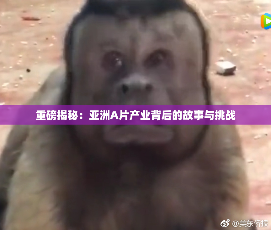 重磅揭秘：亚洲A片产业背后的故事与挑战