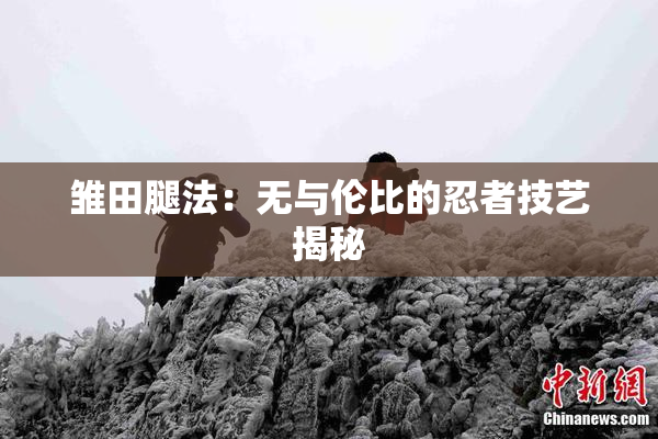 雏田腿法：无与伦比的忍者技艺揭秘