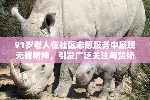 91岁老人在社区志愿服务中展现无畏精神，引发广泛关注与赞扬