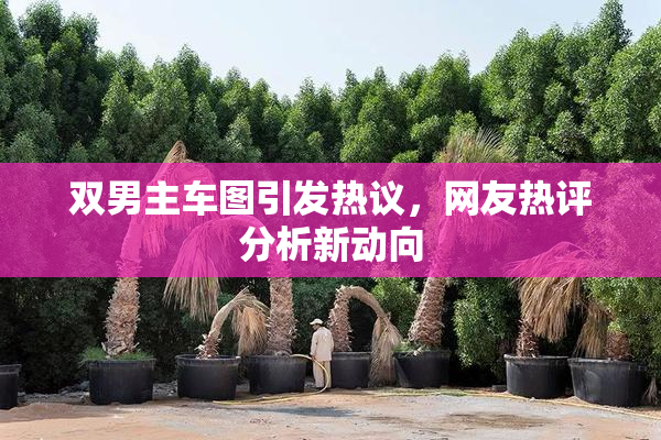 双男主车图引发热议，网友热评分析新动向