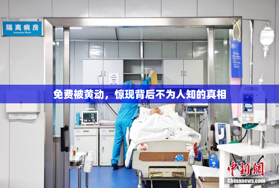 免费被黄动，惊现背后不为人知的真相
