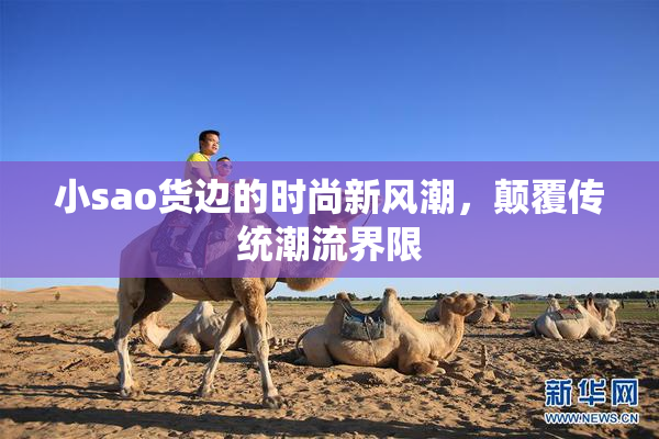 小sao货边的时尚新风潮，颠覆传统潮流界限