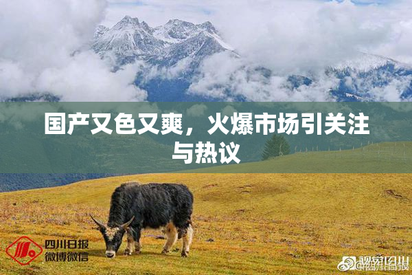 国产又色又爽，火爆市场引关注与热议