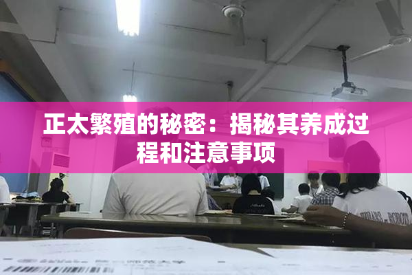 正太繁殖的秘密：揭秘其养成过程和注意事项