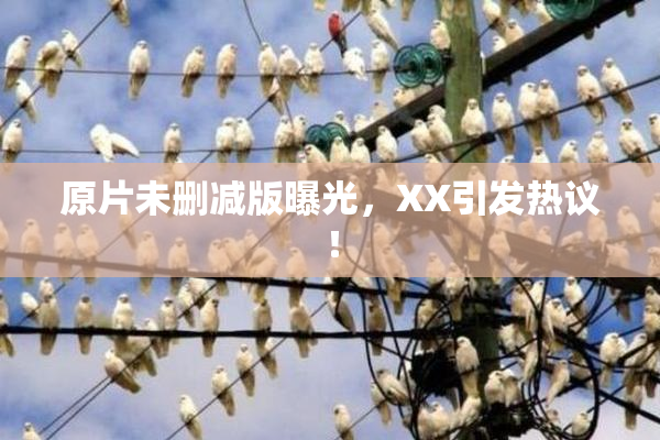 原片未删减版曝光，XX引发热议！