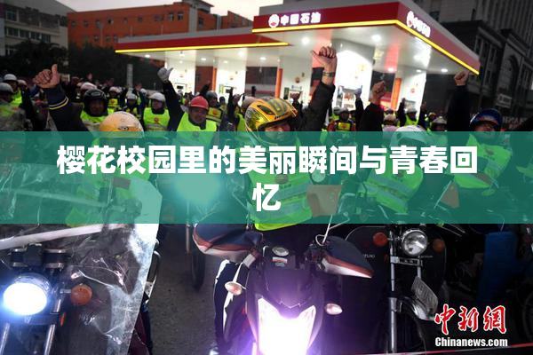樱花校园里的美丽瞬间与青春回忆