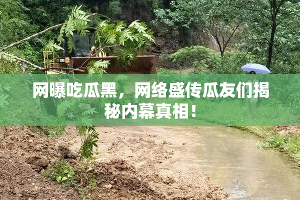 网曝吃瓜黑，网络盛传瓜友们揭秘内幕真相！