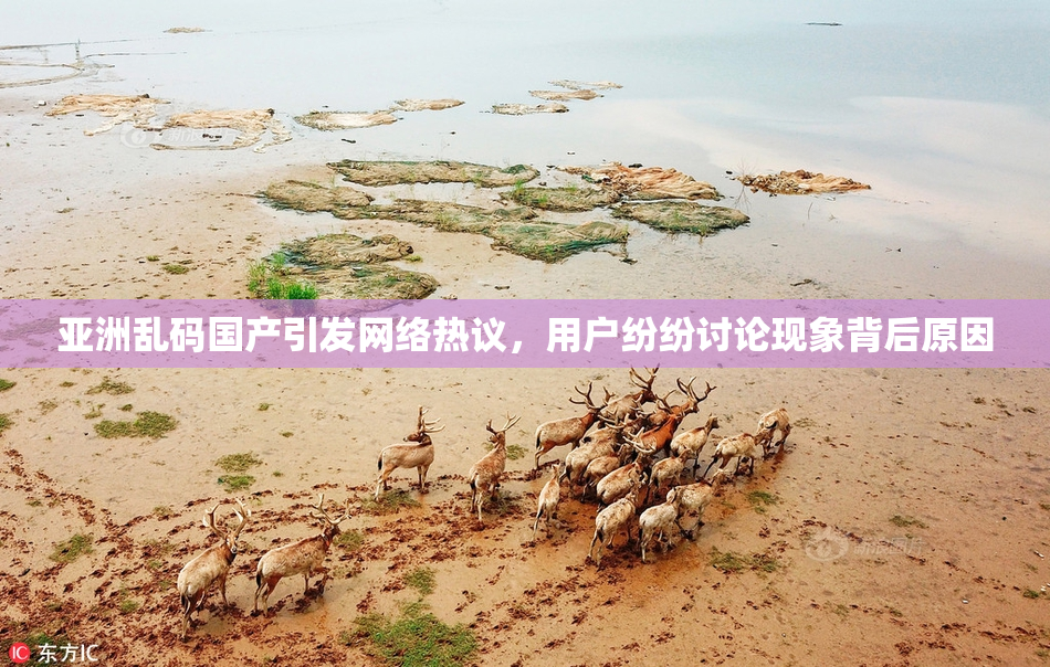 亚洲乱码国产引发网络热议，用户纷纷讨论现象背后原因