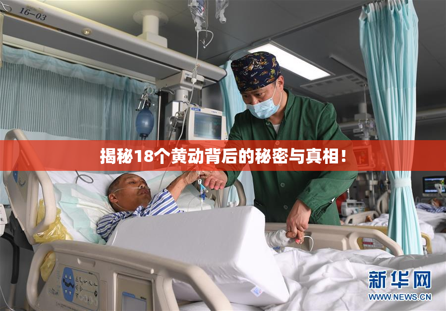 揭秘18个黄动背后的秘密与真相！