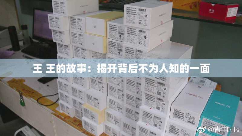 王 王的故事：揭开背后不为人知的一面