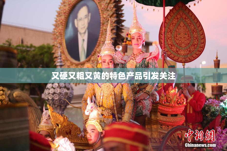 又硬又粗又黄的特色产品引发关注