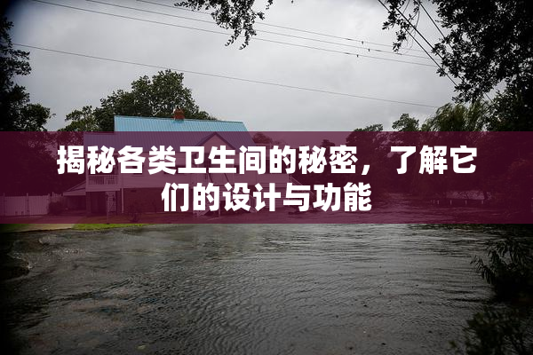 揭秘各类卫生间的秘密，了解它们的设计与功能
