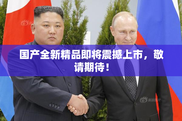 国产全新精品即将震撼上市，敬请期待！